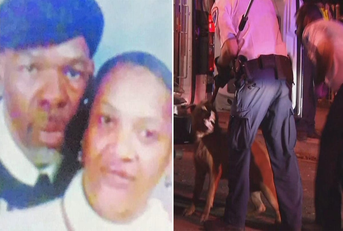 Pit bull dog attack his owners wife to kill her in America