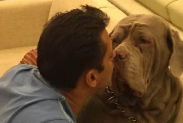 salman khan pet dog my love passes away