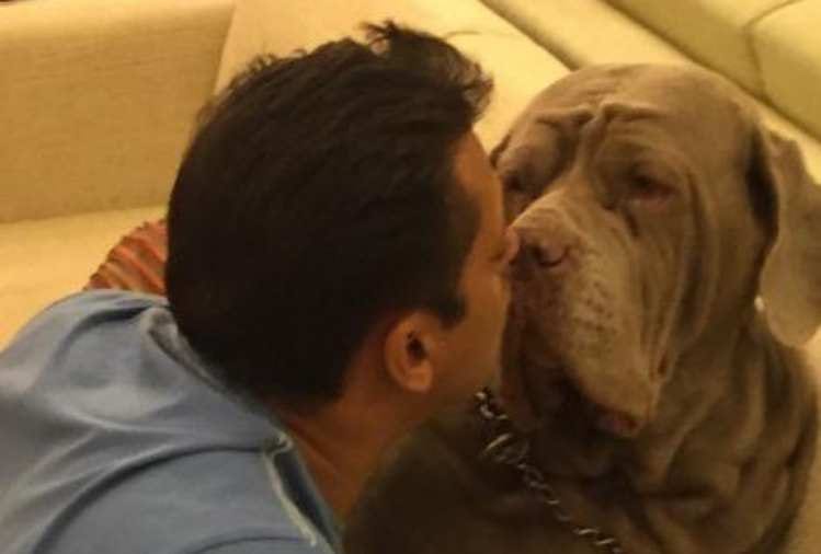 salman khan pet dog my love passes away