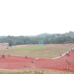 synthetic track Anu