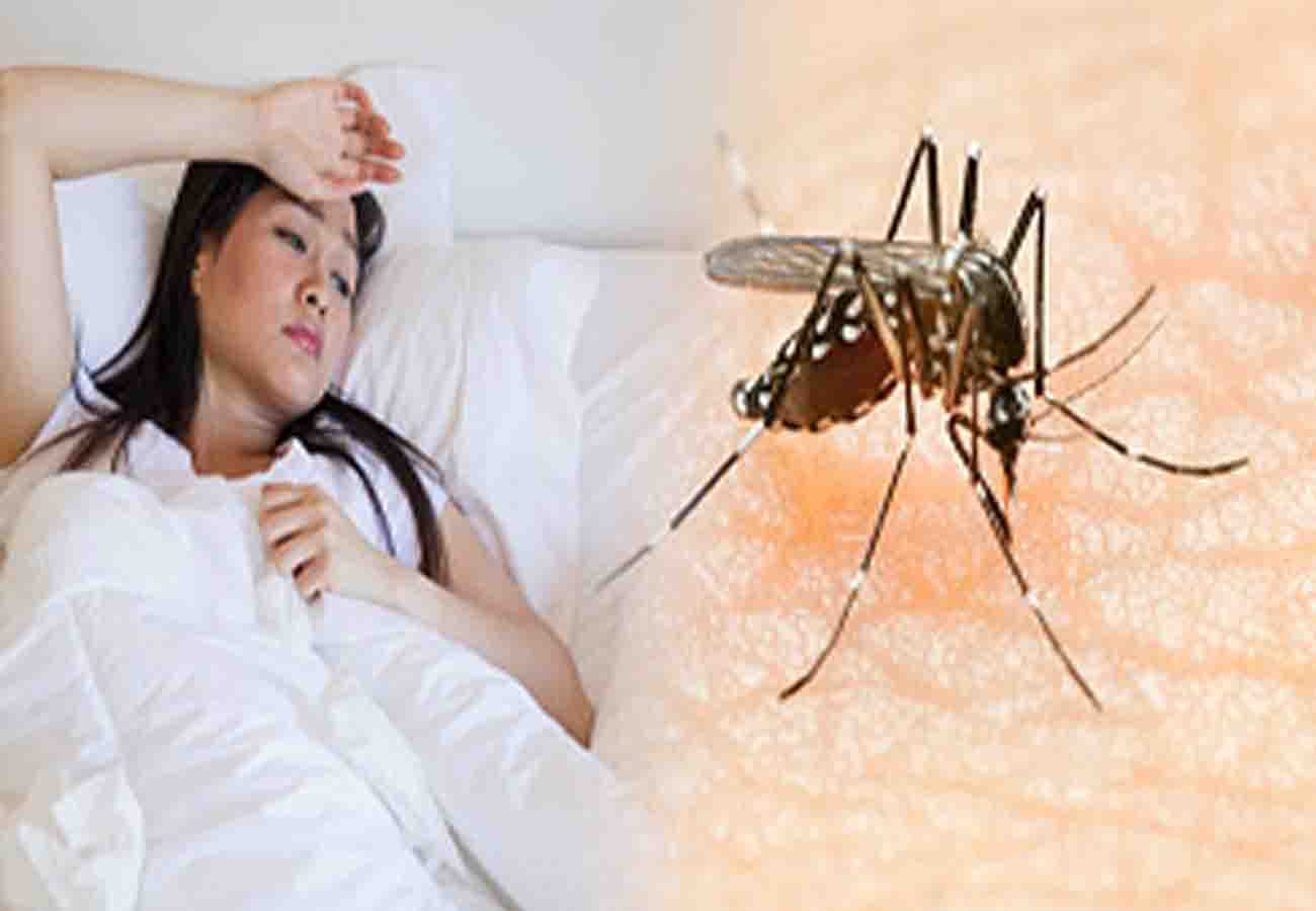 Dangerous fever dengue and zika virus