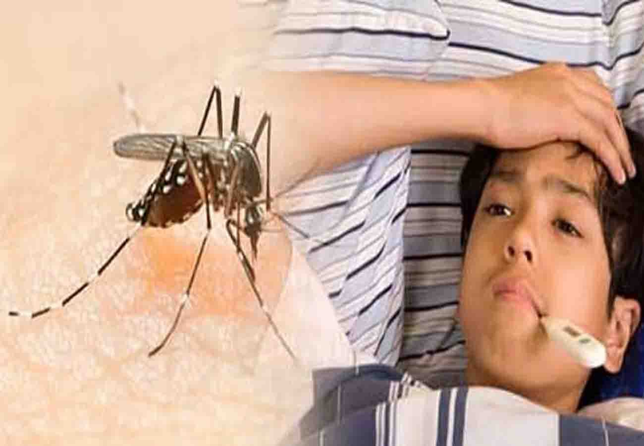 Dangerous fever dengue and zika virus