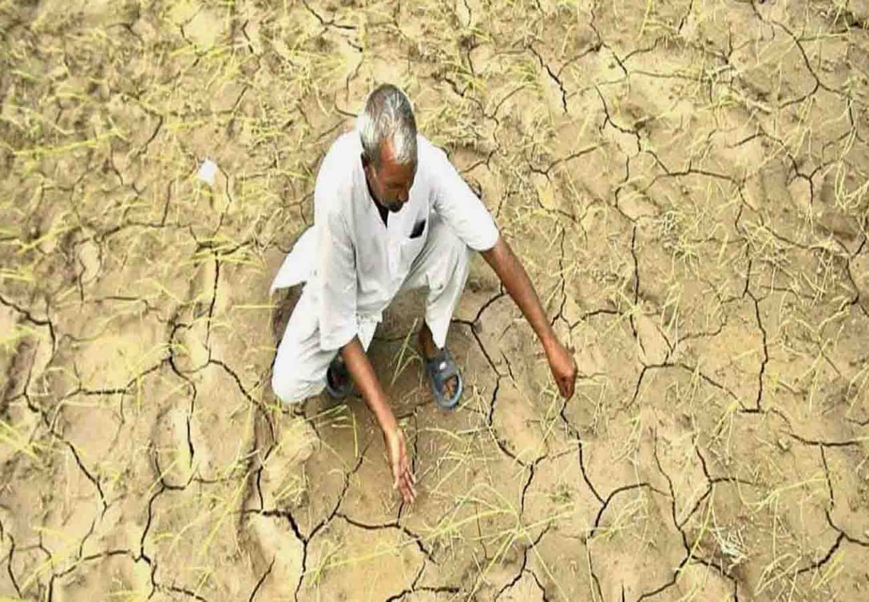 Janak Seed ready in 9 years for low water areas like Bundelkhand