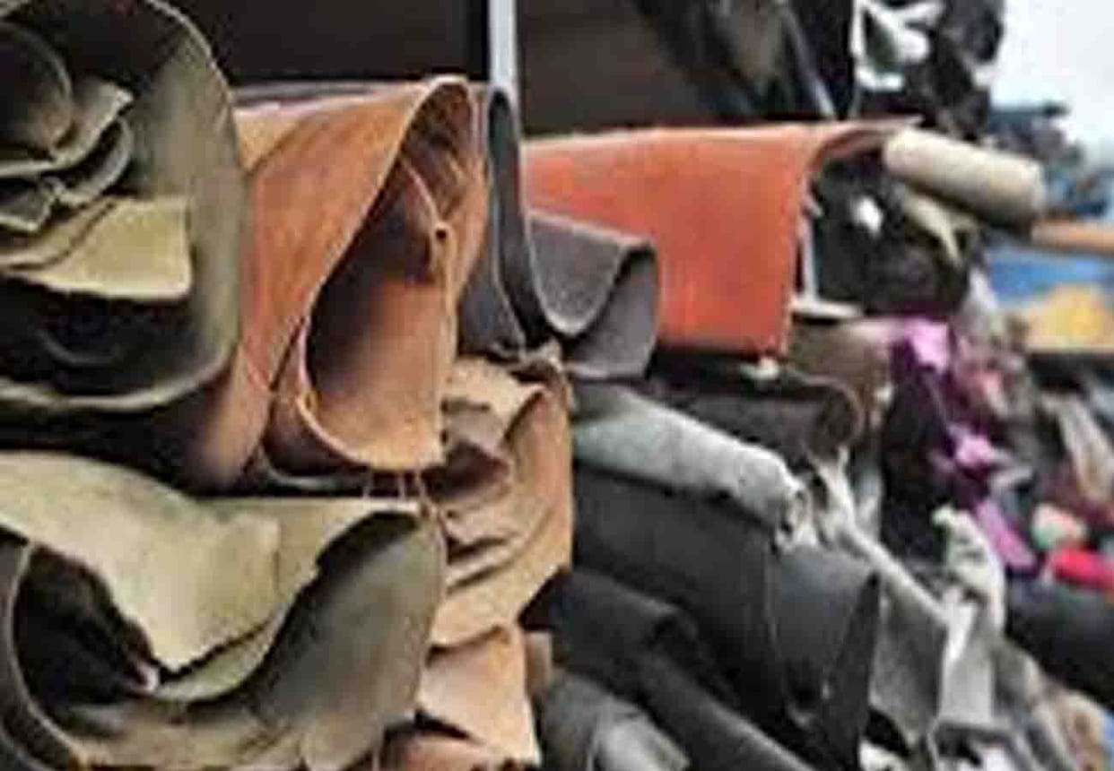 Good news for leather merchants