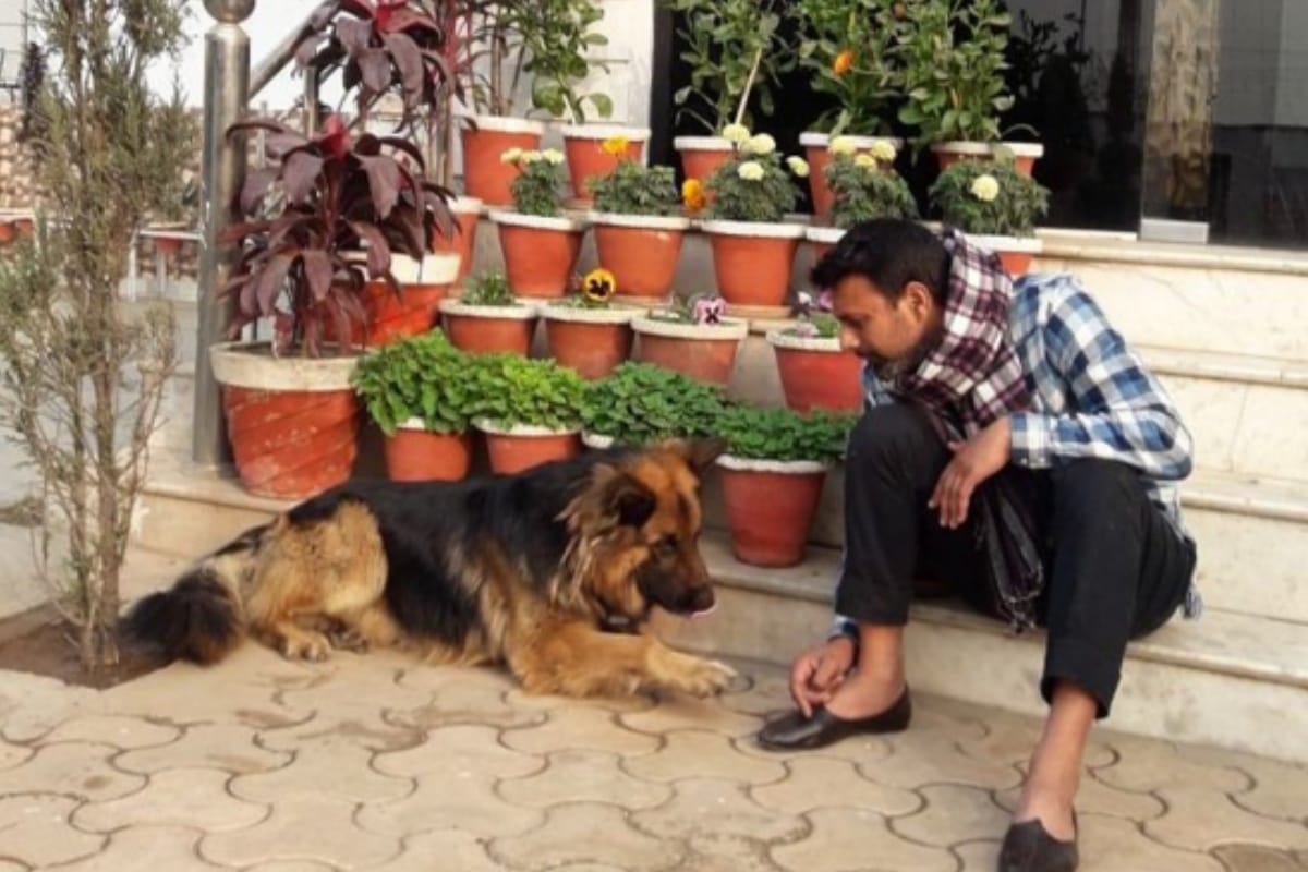 cricketer praveen kumar former India pacer shared his future plans with Amar Ujala After retirement