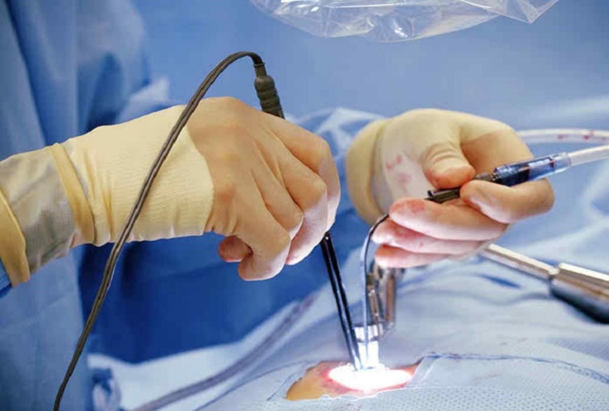 Pgi Chandigarh Patients Waiting for Organ Transplant