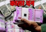 डेमो पिक