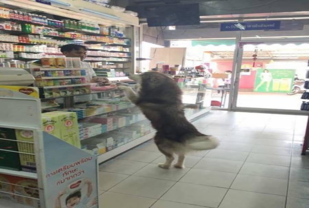 These funny shopping pictures makes you feel happy