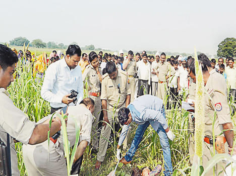 Maiden's body found in the field