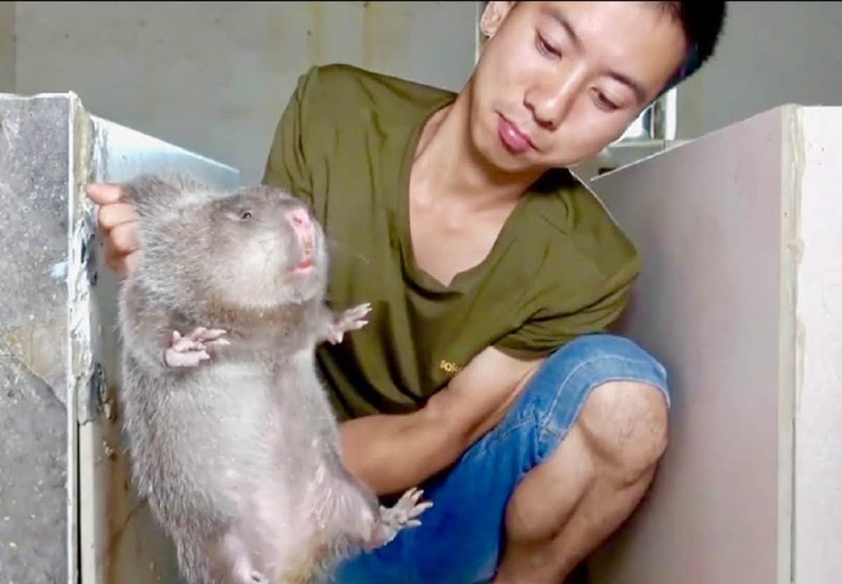 Guy adopt a dog in china it turns into another animal