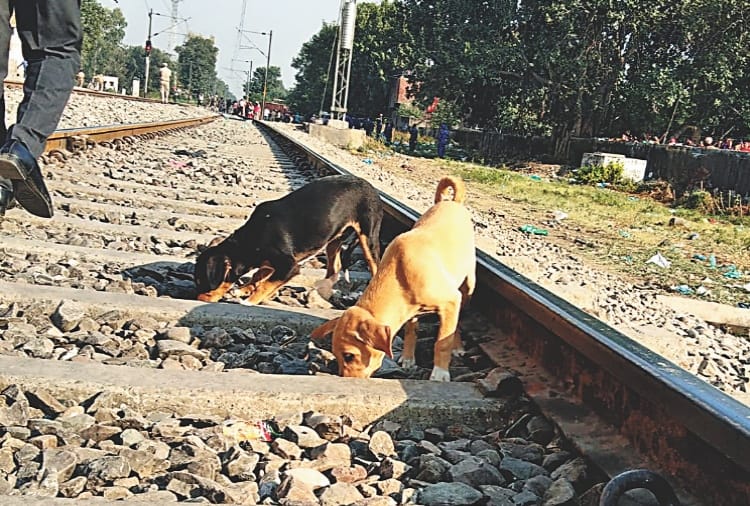 Amritsar Train Accident: track is not cleaned  after 45 hours the