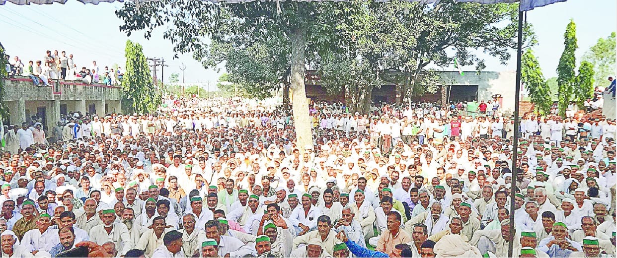 Sugarcane will be filled in DM office if sugar is not available till 25