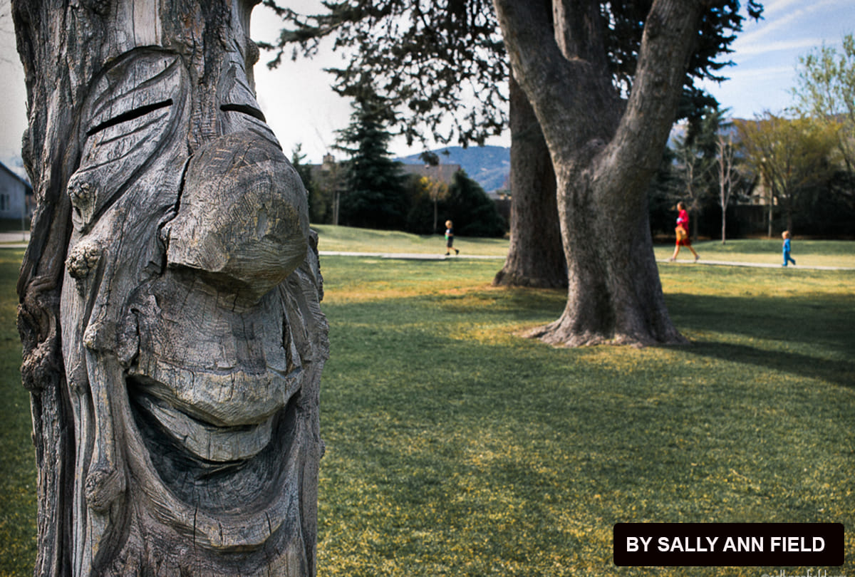tree laugh when someone tickle