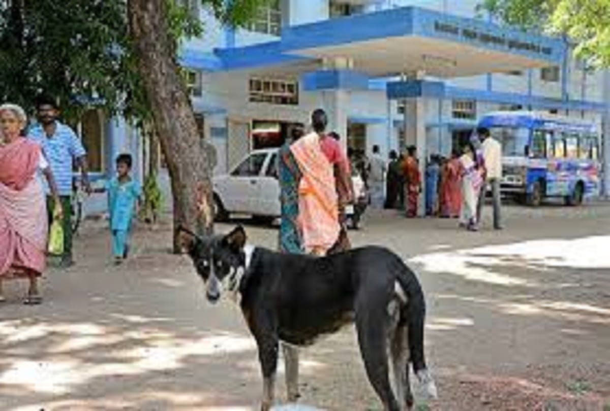 40 thousand rupees deducted from account when men call ambulance for injured dog