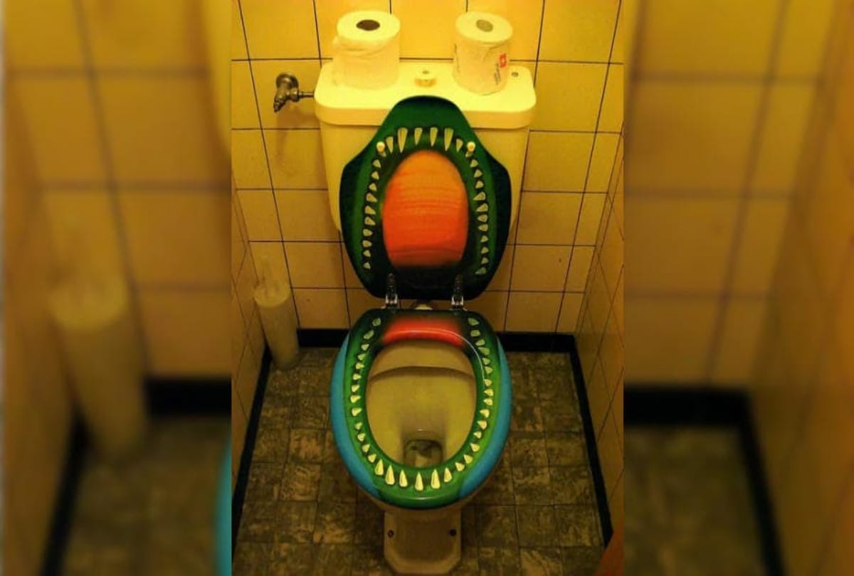 Fifteen Toilet Seats Will Make You Laugh