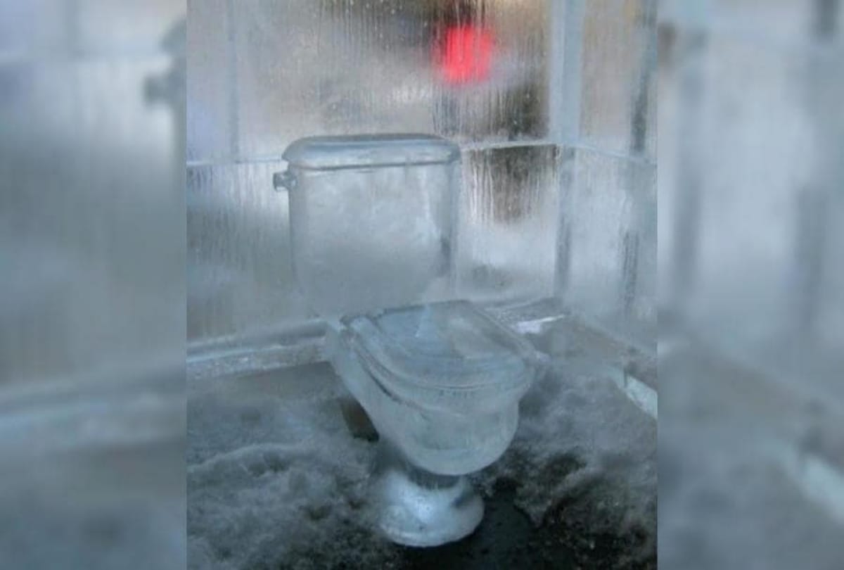 Fifteen Toilet Seats Will Make You Laugh