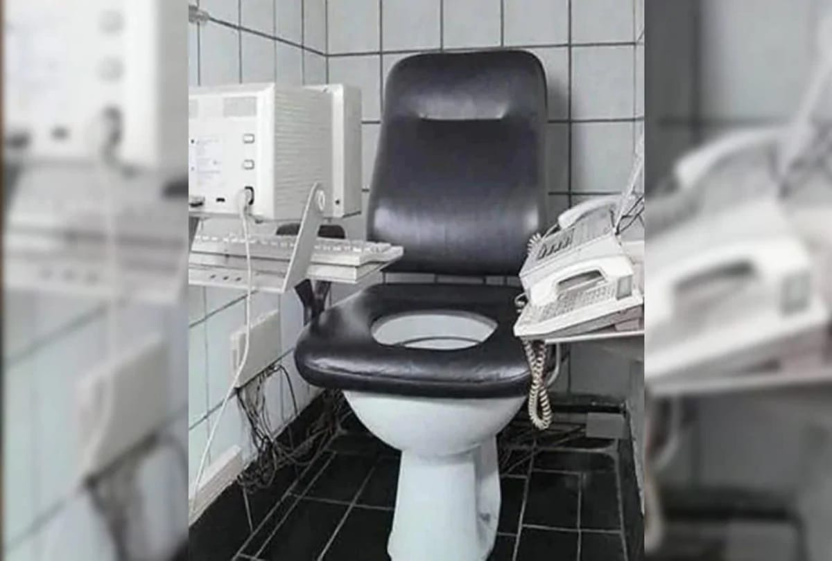 Fifteen Toilet Seats Will Make You Laugh