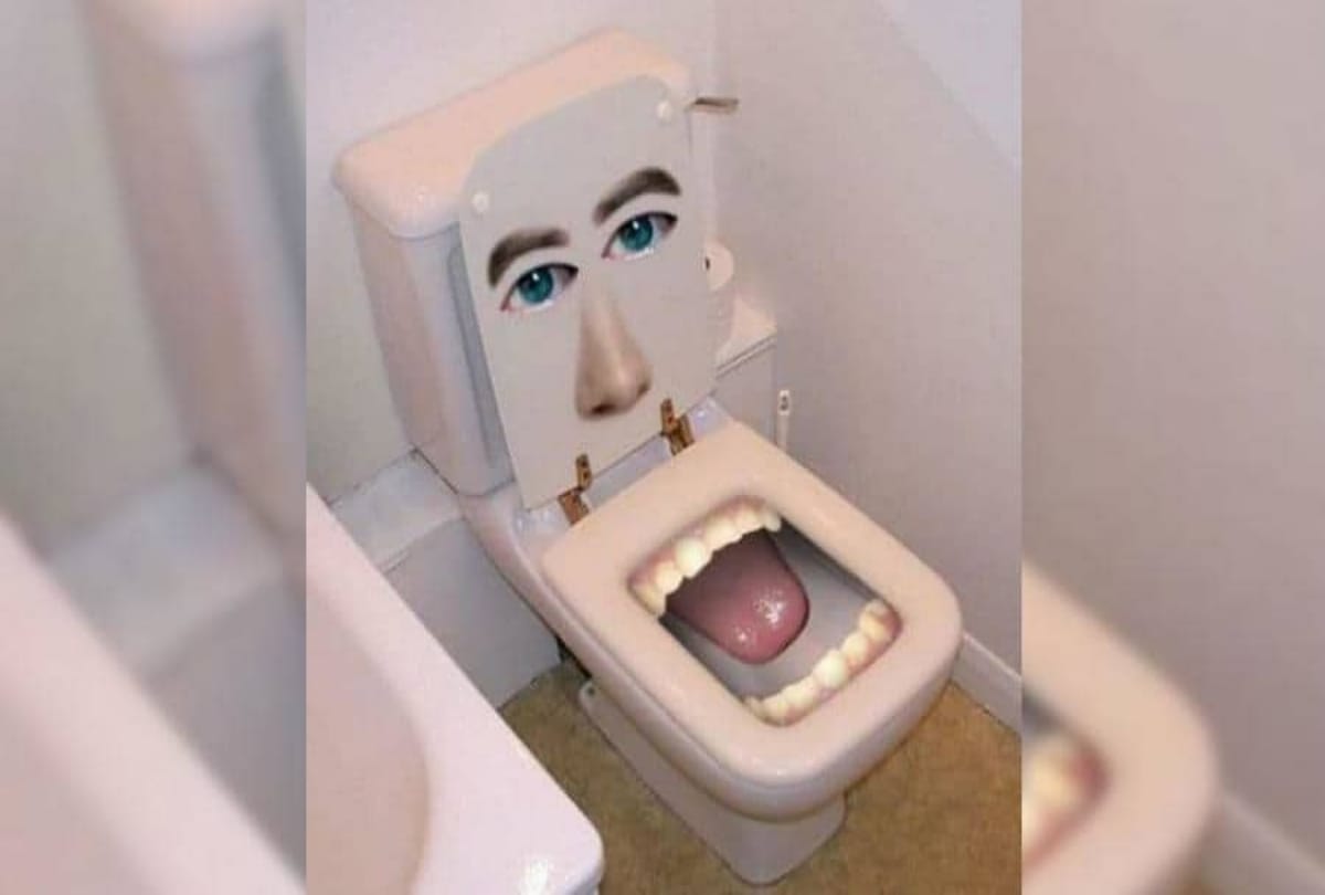 world is celebrating world toilet day and india still has long way to go