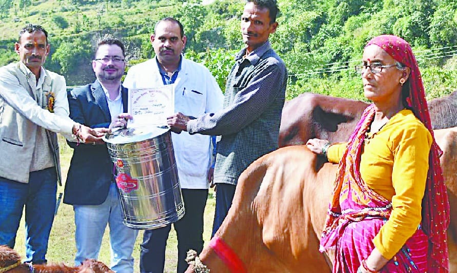 govind's jersy cow won the championship
