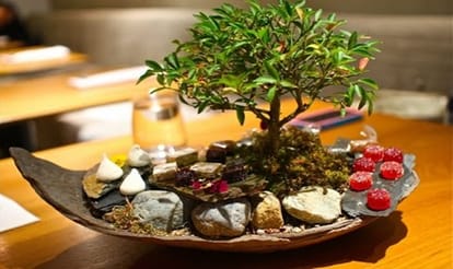 Feng Shui Tips For Money Keep These Things According To Feng shui for Positive Energy