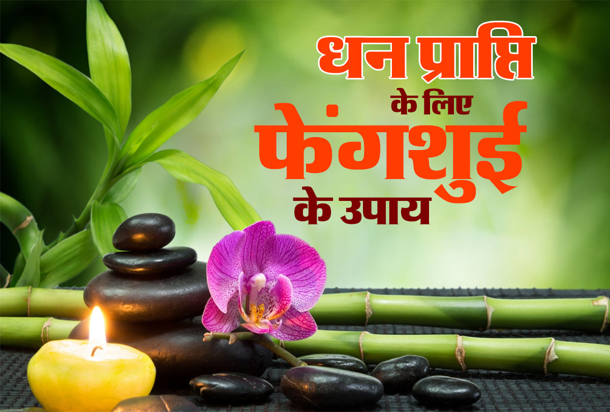 importance of elephant in vastu and feng shui