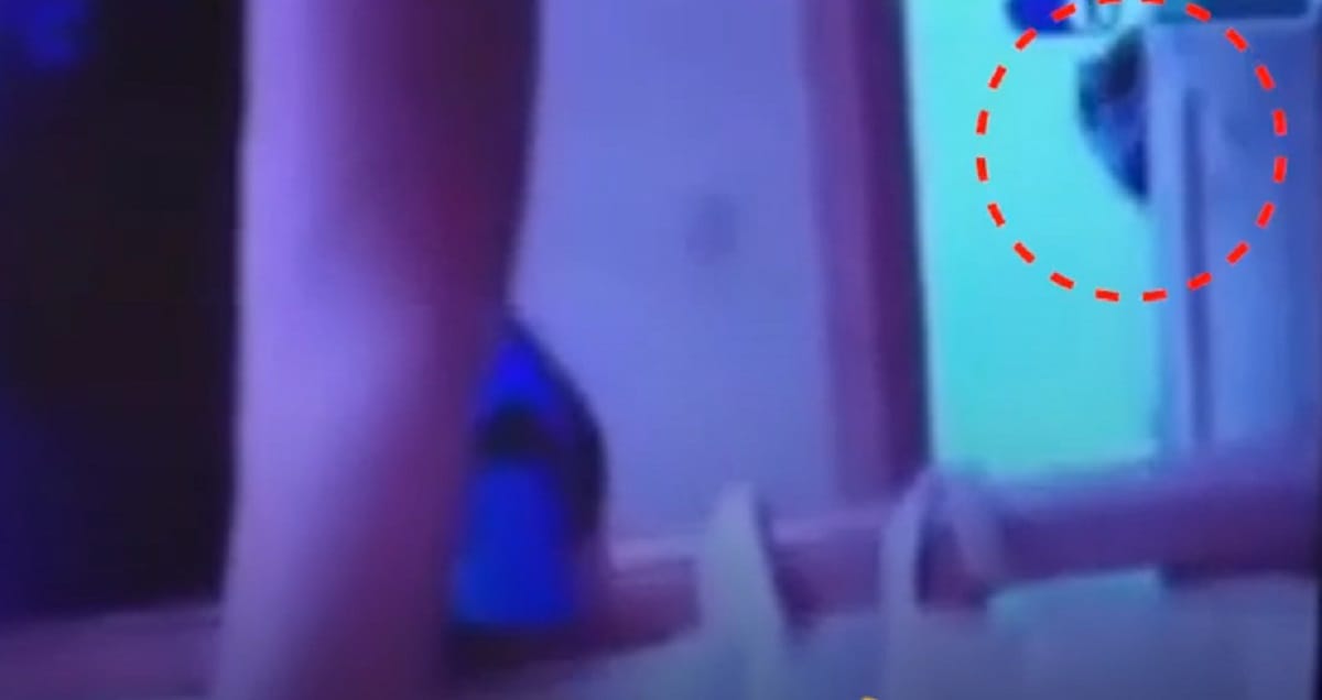 mom found some suspicious thing in kid's room