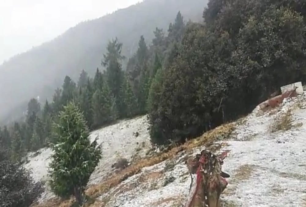 Heavy Snowfall in Auli and kedarnath 2018 exclusive photos