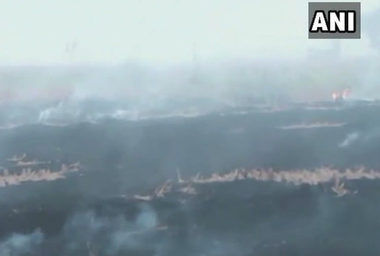 Farmers continue to burn stubble in Fatehabad of Haryana