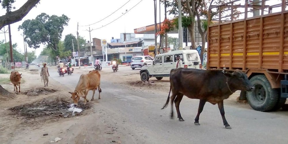 Vacant cattle camp on roads