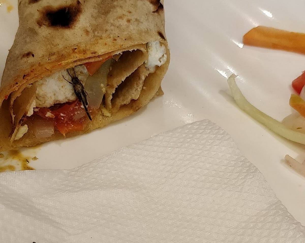 varanasi airport passenger find insect in food