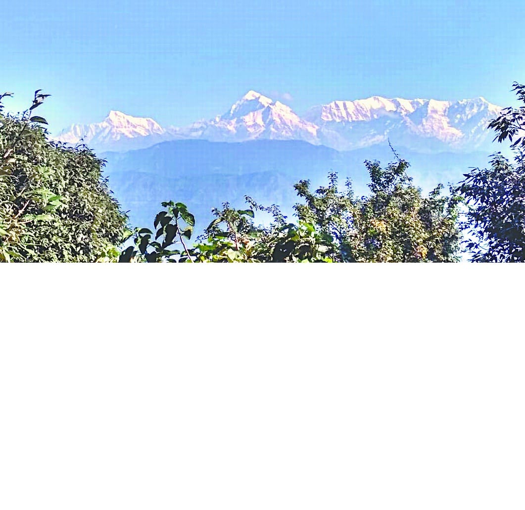 30 मिलियन वर्ष पुराना है हिमालय : प्रो.सिंह