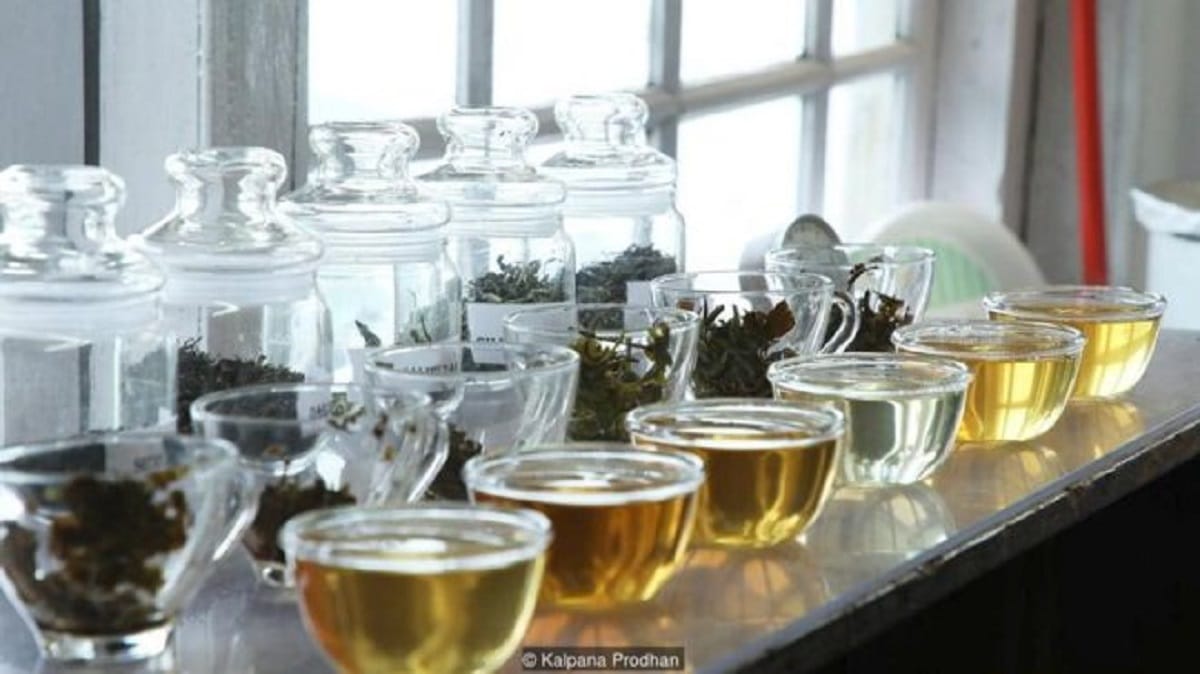 know about most expensive tea silver tips imperial
