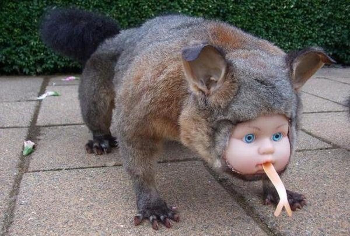 weird photos viral on social media platform
