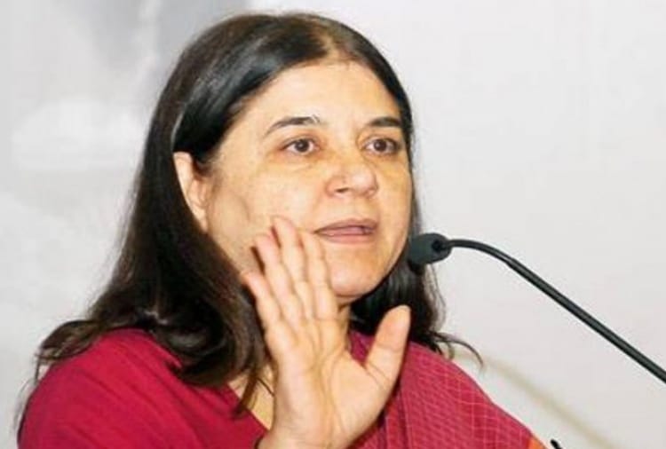 Maneka Gandhi ordered to suspend Zoo staff of Bhatinda