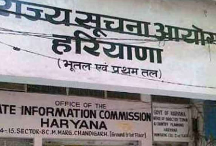 haryana's officials must disclose assets