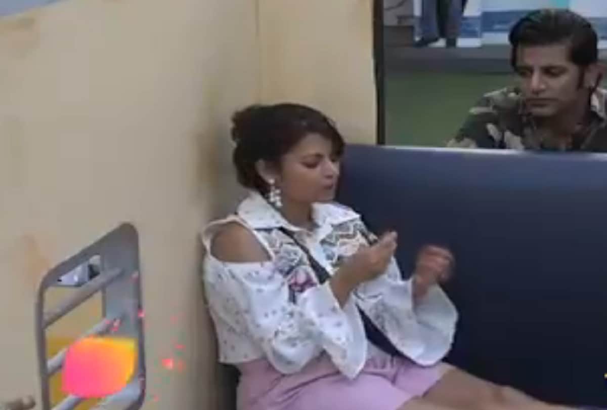 bigg boss 12 housemats are against the megha dhade
