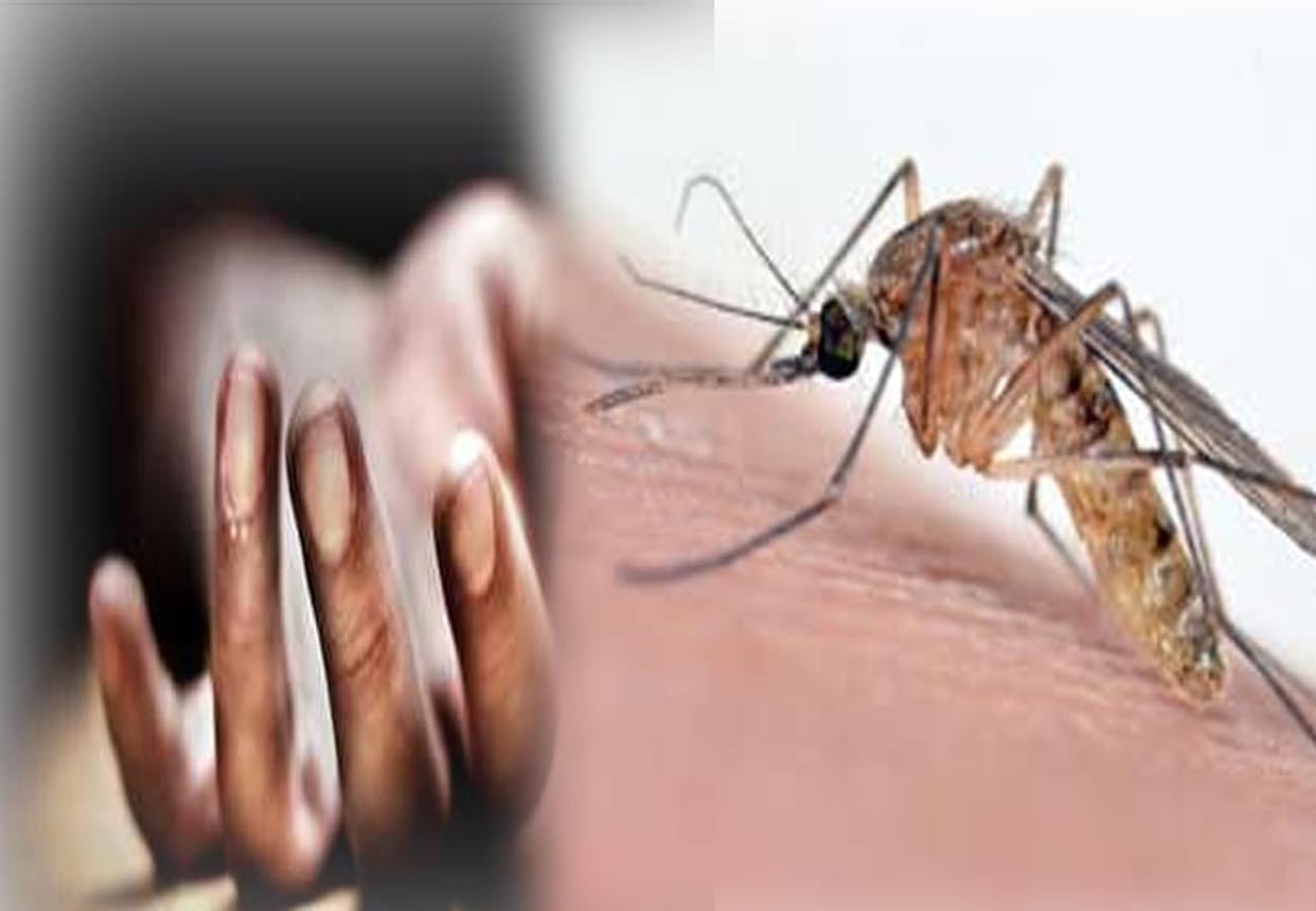 Student death due to Dengue in kanpur