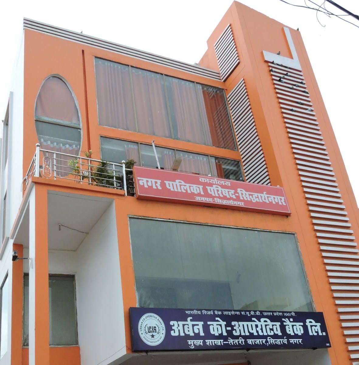 report want from nagar palika