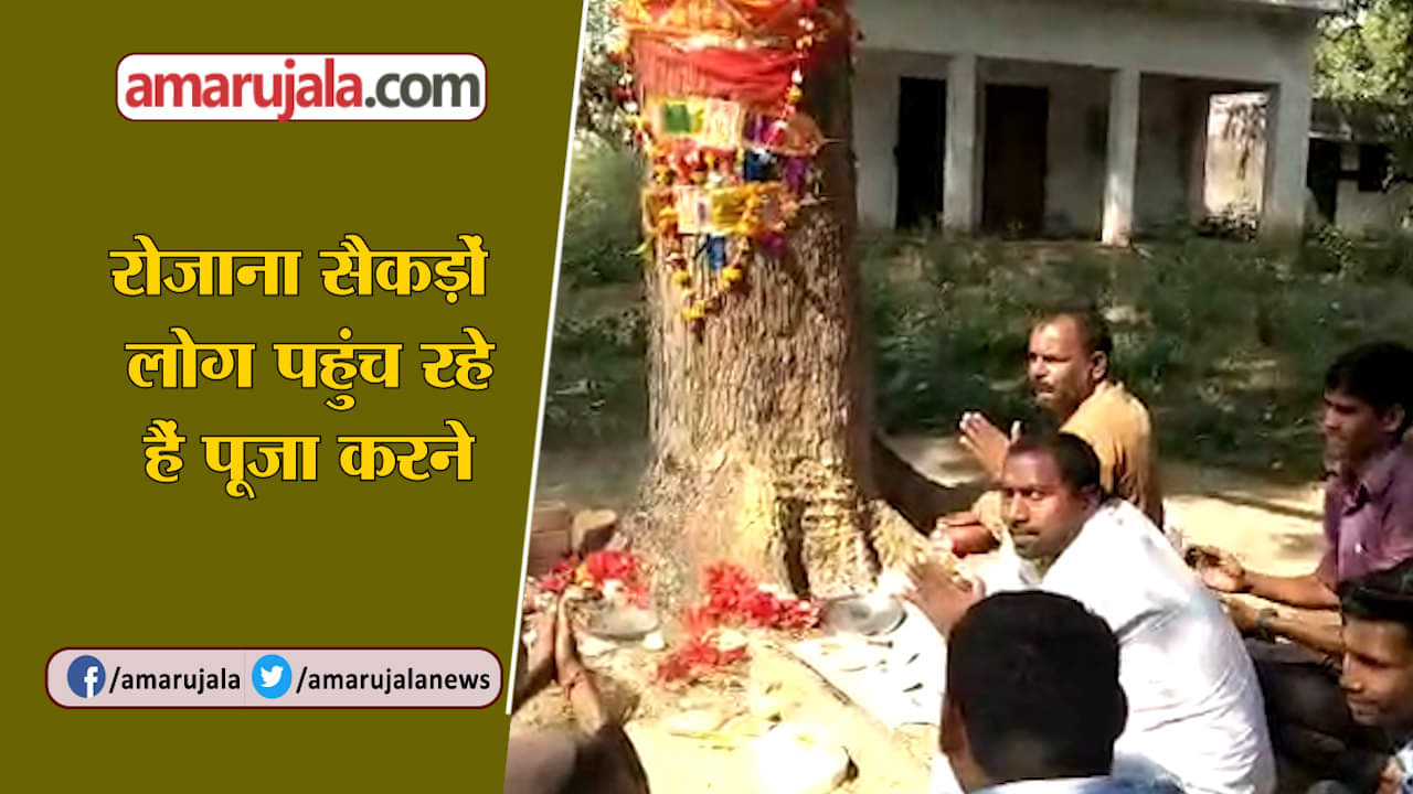 यूपी न्यूज