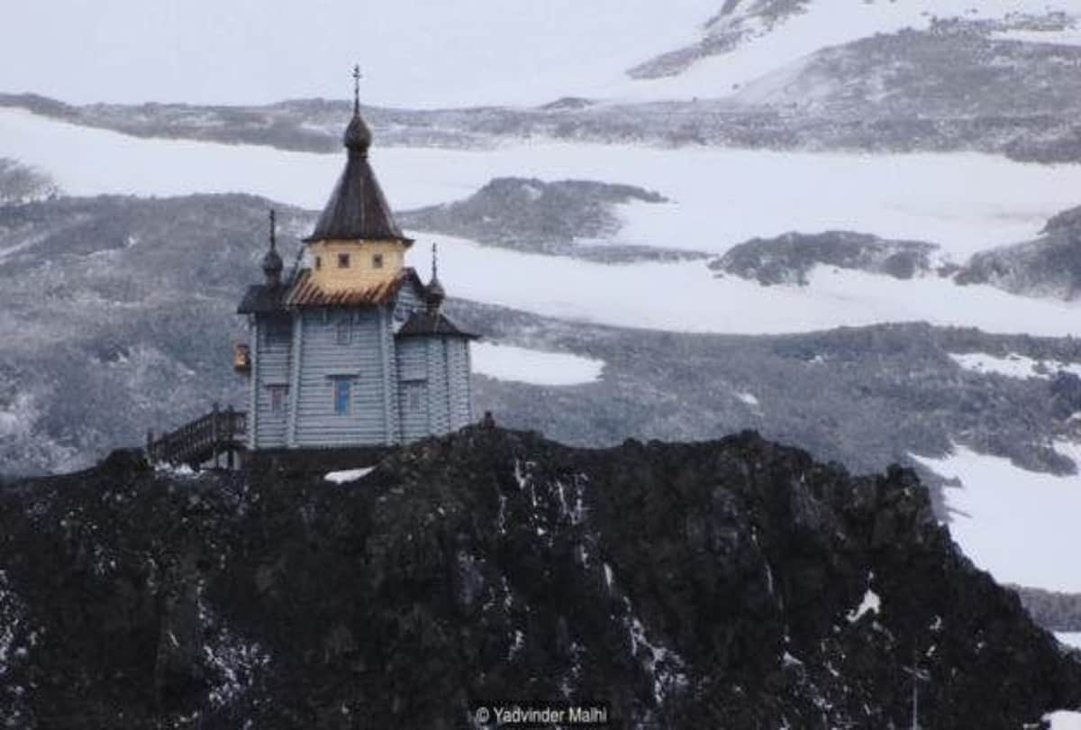 Know the Story of 175 years old bones which is found at Antarctica