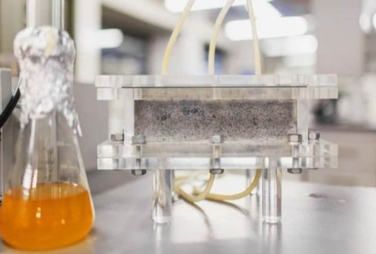 urine colour can indicate your health problem