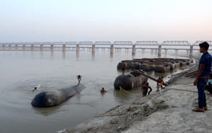 Major error in the construction of the Pantoon bridge for Aquarius