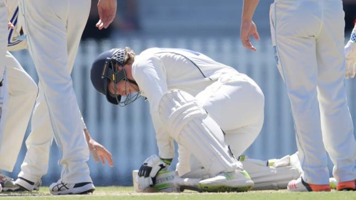 will pucovski retires from cricket for indefinite time