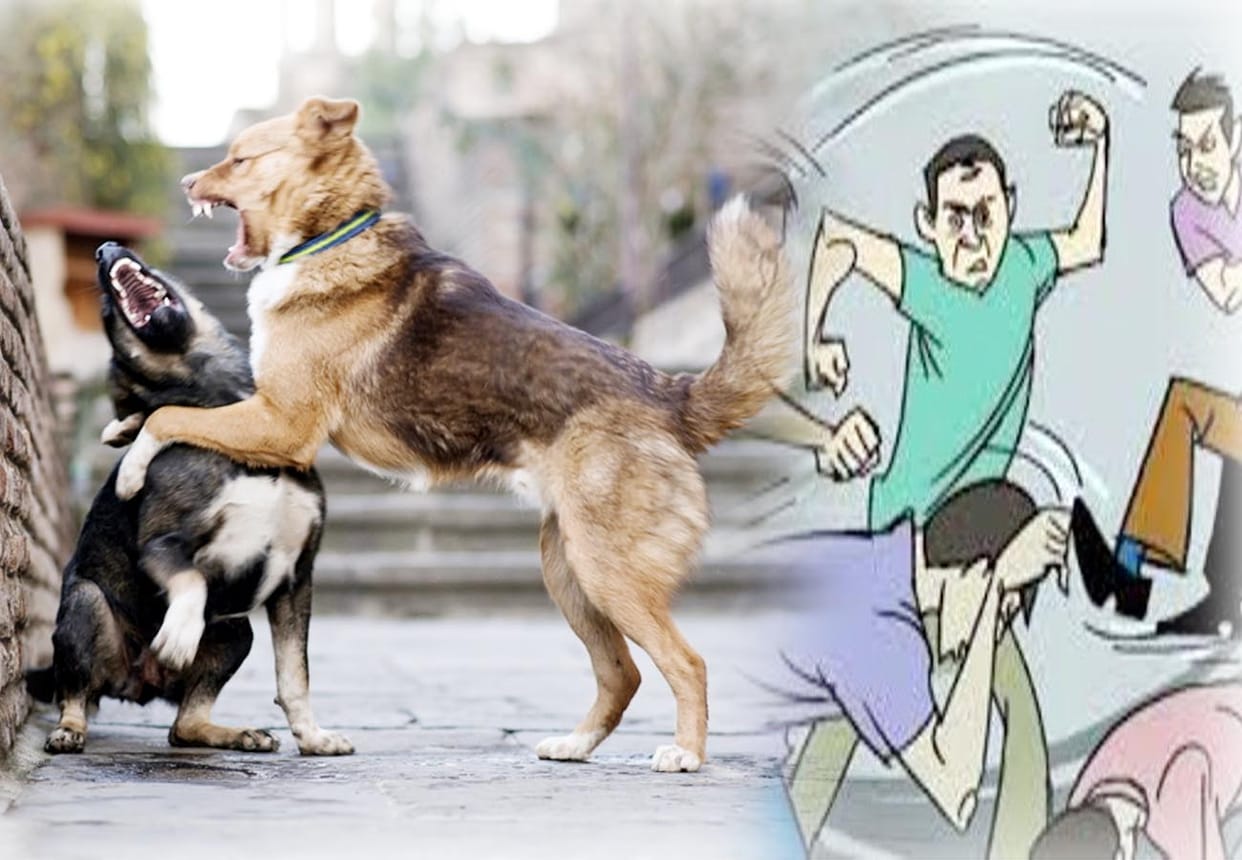 dispute between Two groups of young men due to dogs