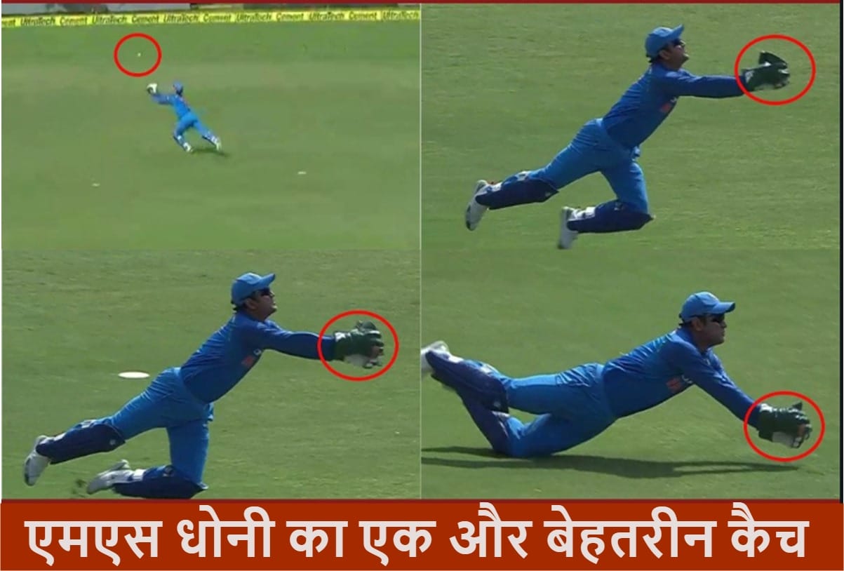 IND v WI: MS Dhoni takes a superb catch against West Indies in Pune odi