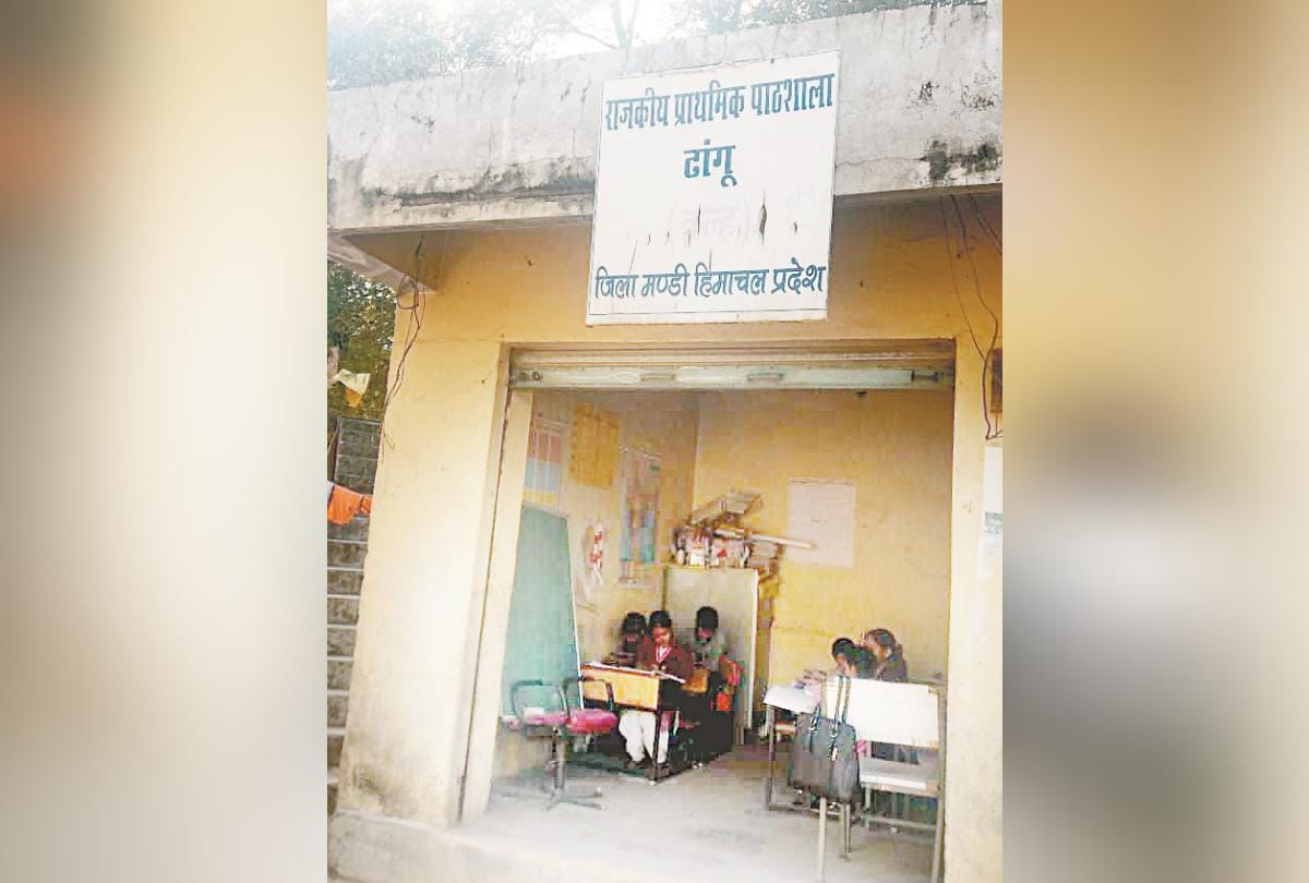 primary govt school running in Shop in mandi himachal pradesh