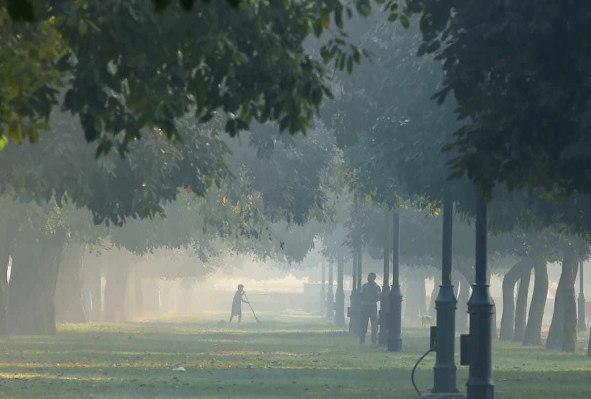Delhi will improve the climate by planting 60 lakh saplings every year