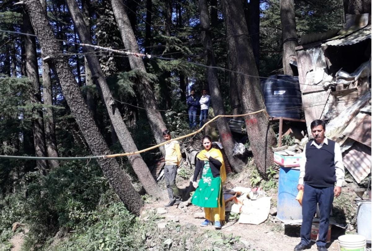 फर्जी आवेदनों पर अब पेड़ नहीं डीआर काटेगा विभाग