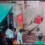 सांप को पकड़कर भागता बंदर।