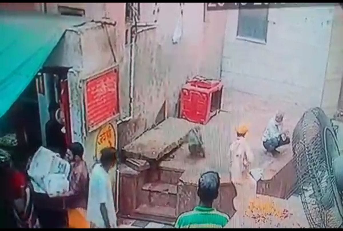 Monkey caught the snake and run